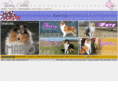 taliesinkennel.com