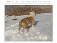 thecornerstonekennels.com