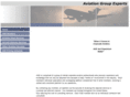 aviationgroupexperts.com