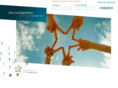 ciclodesarrollopersonas-telefonica.com