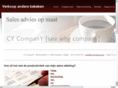 cy-company.com