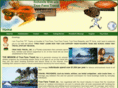 truefanstravel.net