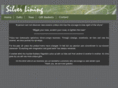 e-silverlining.com