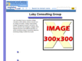 lubyconsultinggroup.com