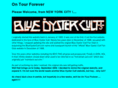 ontour4ever.com