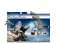 wildspiritresources.com