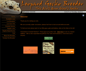 leopardgeckobreeder.com: Leopard Gecko Breeder:  Welcome!
Leopard Gecko Breeder, breeding top of the line, healthy, leopard geckos.  Shipping anywhere in the Continentel US.