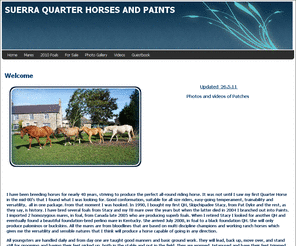 suerraquarterhorses.com: Home - SUERRA QUARTER HORSES AND PAINTS
Breeder of quality American Quarter Horses and Paints in the UK