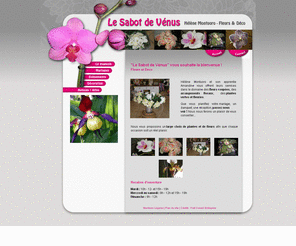 fleuriste-lesabotdevenus.com: Fleuriste à Eyguières 13 PACA Le Sabot de Vénus
Fleuriste, décoration florale, fleurs pour mariage, cérémonie, deuil, communion, baptême, fête, vente d'objets de décoration à Eyguières 13 PACA Le Sabot de Vénus