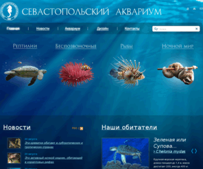 sevaquarium.com: Севастопольский Аквариум
Приглашаем Вас посетить Севастопольский аквариум-музей, в котором собрано большое количество рыб и беспозвоночных, а так же экзотических рептилий! Вы так же можете посетить выставку ночных животных и заглянуть в мир, который днем не виден.