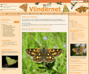 vlindernet.nl: Vlindernet:  Website over alle Nederlandse soorten dagvlinders en macronachtvlinders
Informatiebron voor dag- en nachtvlinders met handige zoekfunctie