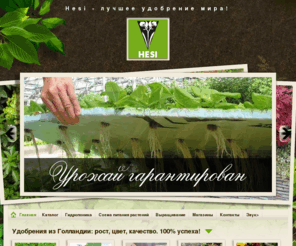 hesi.biz: Hesi - лучшее удобрение мира
Hesi - лучшее удобрение мира. Удобрение для гидропоники.