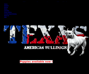 texasamericanbulldogs.com: Home - Texas American Bulldogs
American Bulldogs