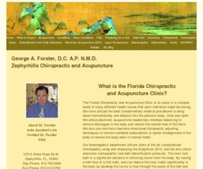 zephyrhillschiropractic.com: ZephyrHills Chiropractor & Acupuncture - Dr. George A. Forster, DC, AP, NMD Zephyrhills, FL 33543 with chiropractics, acupuncture, physiotherapeutics, bioenergetics
Dr. George A. Forster provides chiropractics, acupuncture, physiotherapeutics,  bioenergetics, services in Zephyrhills, FL.