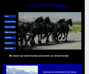 ingathompson.com: Lone Fir Friesian
Friesian