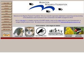 migrationresearch.org: Migration Research Foundation
The Migration Research Foundation is a nonprofit organization dedicated to researching and documenting animal movements to aid in conservation and wildlife management efforts