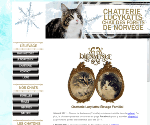 lucykatts.com: Chatterie Lucykatts - NFO
Chatterie Lucykatts, élevage familial de chats norvegiens.