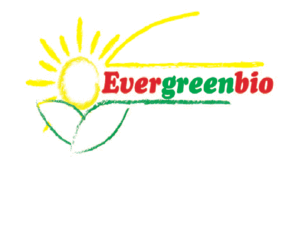 evergreen-bio.com: EvergreenBio - il rispetto della natura con i prodotti biodegradabili
Evergreen-Bio i tuoi prodotti biodegradabili, io rispetto la natura.