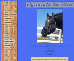 dynamicinblue.net: Dynamic In Blue
This website posted for Dynamic in Blue, 
2000 Grulla Stallion 16 hands AQHA IBHA ABRA listed APHA AQHA IF, Proudly Owned by Larry and Sunny Krugh