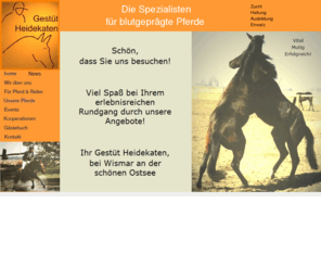 gestuet-heidekaten.de: Willkommen beim Gestüt Heidekaten
Viel Spaß bei Ihrem erlebnisreichen Rundgang durch unsere Angebote! Ihr Gestüt Heidekaten, bei Wismar an der Ostsee.