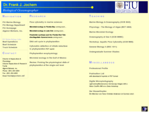 jochemnet.de: Frank Jochem Homepage
