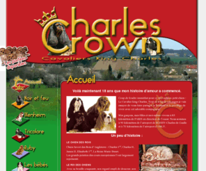 charlescrown.com: Charles Crown, Cavaliers King Charles - Accueil
Les Cavaliers King Charles de l'élevage of Charles Crown, les chiens blenheim, noirs et feu, tricolores, rubies, les bébés