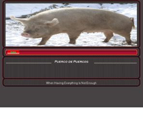 evholdings.com: Puerco de Puercos - Home
A WebsiteBuilder Website