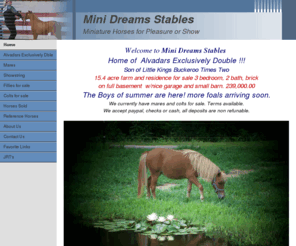 minidreamsstables.com: Home
quality miniature horses in kentucky.  miniature horses for breeding stock  pleasure or show. Excellent bloodlines AMHA AMHR registered mini horses