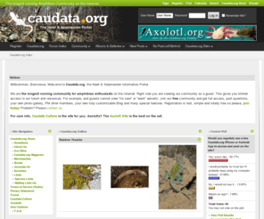 caudata.net: Caudata.org
Axolotls, Newts & Salamanders : Free Information and Advice from expert enthusiasts and scientists.