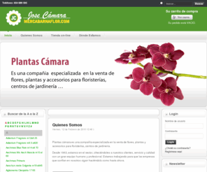mayoristasdeplantas.com: Bienvenidos a Plantas Cámara
Plantas Cámara