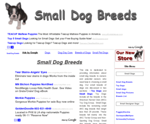 All+small+dog+breeds+pictures