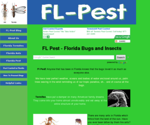 fl-pest.com: FL Pest
FL Pest; Anyone that has been to Florida know that the bugs are bigger and more dangerous; including spiders, termites cockroaches... you name it. 