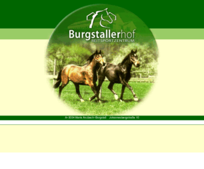 real-poppers.com: Willkommen auf dem BURGSTALLERHOF!
Reitsportzentrum Burgstallerhof - Ihr Reitstall inmitten des Wienerwaldes mit vielf¹ltigen Freizeitangeboten rund ums Reiten und Ihr Pferd