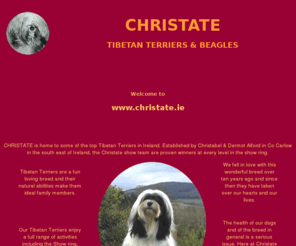 christatetibetanterriers.com: Christate Tibetan Terriers
Christate Tibetan Terriers.  Home of quality Tibetan Terriers in Ireland.  One of the Top winning kennels in Ireland.  Our Show team are proven winners at every level in the Show Ring.