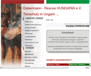 dobermann-rescue-hungary.net: Dobermann-Rescue HUNGARY
Dobermann-Rescue HUNGARY