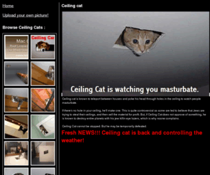 Ceiling Cat Gif