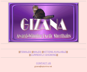 gizana.com: Gizana Exotic Shorthair Kittens and Cats
Kittens Availiable from a breeder and exhibitor of Exotic Shorthair kittens and cats, come see our show cats.