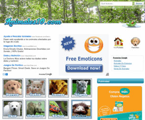 animales10.com: Animales10.com // Videos de Animales, Animales Salvajes, Animales Curiosos, Animales Peligrosos, Animales Graciosos
Videos de Animales, Animales Curiosos, Animales Graciosos, Perros, Gatos, Leones, Ataques de Animales, Bichos, Insectos, Ballenas, Delfines, Caballos, Tortugas, Monos, Aves, Pájaros, Animales