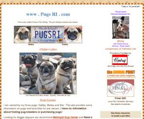 pugsri.com: Pugs RI
Dedicated to all pugs