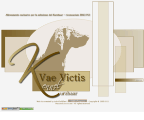 vaevictiskennel.com: Allevamento Bracco Tedesco - Vae Victis di Massimiliano Scotti
Bracco Tedesco - allevamento esclusivo per la selezione della razza Kurzhaar di Massimiliano Scotti