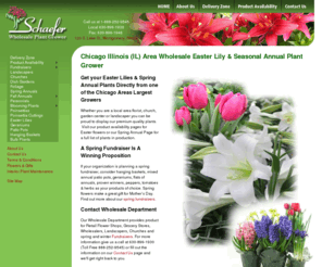 schaeferplantgrower.com: Chicago Wholesale Easter Lilies, Annuals,  Plant Grower-Schaefer Greenhouses, Montgomery IL
Schaefer's Greenhouse, located in Montgomery Illinois (IL), is one of the Chicago area's largest wholesale plant growers.  Schaefer's grows their own Easter Lilies, Poinsettias, Azaleas, Geraniums and much more.