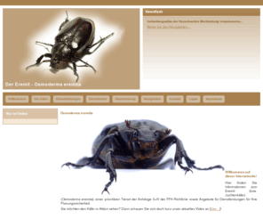 osmoderma.info: Der Eremit - Osmoderma eremita - Willkommen
Der Eremit oder Juchtenkäfer - Osmoderma eremita