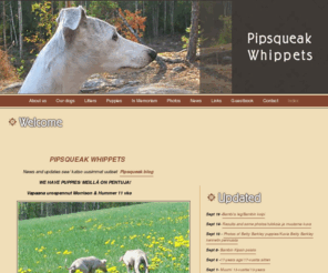 pipsqueakwhippets.com: Pipsqueak Whippets -  Welcome to our site -  
Pipsqueak Whippets -  Welcome to our site -  