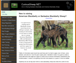 curioussheep.net: CuriousSheep.NET, HOME PAGE, Intro to Raising Barbados Blackbelly & American Blackbelly Sheep
This site is intended for sharing skills for the proper care of Barbados Blackbelly sheep and American Blackbelly sheep. CuriousSheep.NET is a website designed for those beginning to raise Barbados Blackbelly or American Blackbelly sheep.