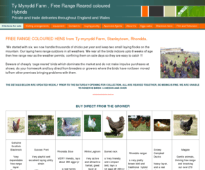 blackrocklayers.co.uk: chickens for sale
ty-mynydd farm, blackrock agent