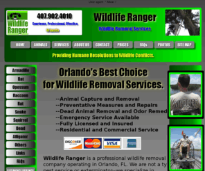 orlandoarmadillos.com: Wildlife Ranger Orlando
Wildlife Removal Orlando. Professional Wildlife Removal Services by Wildlife Ranger.
