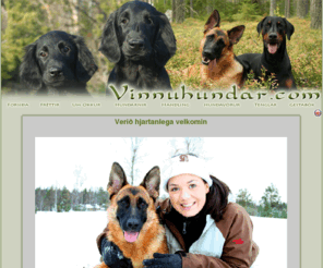 vinnuhundar.com: Vinnuhundar.com
Vinnuhundar.com