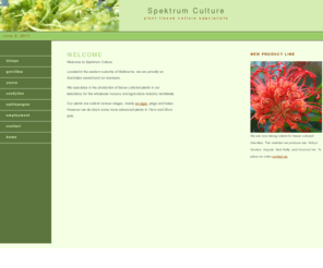 spektrum-culture.com: Spektrum Culture
Spektrum Culture specializes in the production of Liriope and some Yucca varieties from tissue culture.