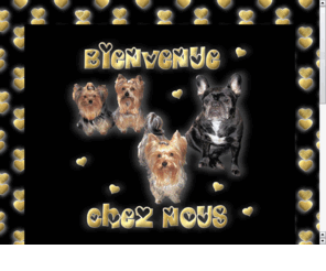 brigitte-family.com: brigitte-family
yorkshires, bouledogues , Staffie, mes chiens, les noeuds pour yorkshires, les canaps pour chiens, Guilvinec