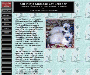chi-ninja-siamese.com: Siamese Cats l Siamese Kittens| Siamese Cat